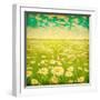 Vintage Photo of Daisy Field and Cloudy Sky-Elenamiv-Framed Art Print