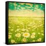 Vintage Photo of Daisy Field and Cloudy Sky-Elenamiv-Framed Stretched Canvas