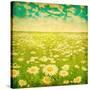 Vintage Photo of Daisy Field and Cloudy Sky-Elenamiv-Stretched Canvas