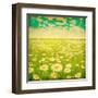 Vintage Photo of Daisy Field and Cloudy Sky-Elenamiv-Framed Art Print