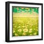 Vintage Photo of Daisy Field and Cloudy Sky-Elenamiv-Framed Art Print