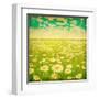 Vintage Photo of Daisy Field and Cloudy Sky-Elenamiv-Framed Art Print