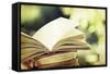 Vintage Photo of Old Books on Colorful Bokeh Background-melis-Framed Stretched Canvas