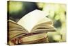 Vintage Photo of Old Books on Colorful Bokeh Background-melis-Stretched Canvas