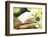 Vintage Photo of Old Books on Colorful Bokeh Background-melis-Framed Photographic Print