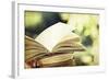 Vintage Photo of Old Books on Colorful Bokeh Background-melis-Framed Photographic Print