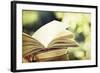 Vintage Photo of Old Books on Colorful Bokeh Background-melis-Framed Photographic Print