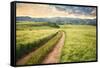 Vintage Picture of the Road in a Barley Field. Among Mountains-Ralko Vadim-Framed Stretched Canvas