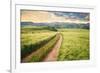 Vintage Picture of the Road in a Barley Field. Among Mountains-Ralko Vadim-Framed Photographic Print