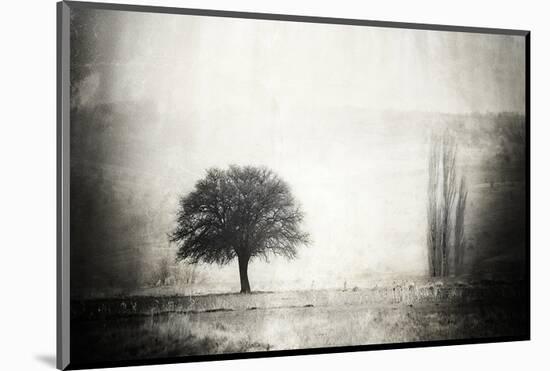 Vintage Picture with lone Tree-null-Mounted Art Print