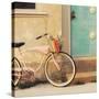 Vintage Pink Bike-Mandy Lynne-Stretched Canvas