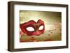 Vintage Pink Carnival Mask-viperagp-Framed Photographic Print