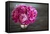 Vintage Pink Peony-Karyn Millet-Framed Stretched Canvas