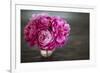 Vintage Pink Peony-Karyn Millet-Framed Photographic Print