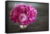 Vintage Pink Peony-Karyn Millet-Framed Stretched Canvas