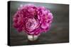 Vintage Pink Peony-Karyn Millet-Stretched Canvas