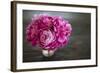 Vintage Pink Peony-Karyn Millet-Framed Photographic Print