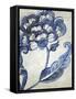 Vintage Porcelain I-Chariklia Zarris-Framed Stretched Canvas