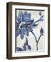 Vintage Porcelain II-Chariklia Zarris-Framed Art Print