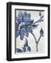 Vintage Porcelain II-Chariklia Zarris-Framed Art Print