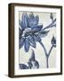 Vintage Porcelain II-Chariklia Zarris-Framed Art Print