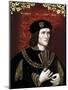 Vintage Portrait of King Richard Iii of England-Stocktrek Images-Mounted Art Print