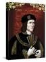 Vintage Portrait of King Richard Iii of England-Stocktrek Images-Stretched Canvas