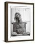 Vintage Puppy Bath-Edward M. Fielding-Framed Photographic Print