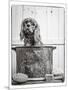 Vintage Puppy Bath-Edward M. Fielding-Mounted Photographic Print