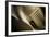 Vintage Racing Car with Exhaust and Air Vents Close Up-Will Wilkinson-Framed Photographic Print