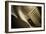 Vintage Racing Car with Exhaust and Air Vents Close Up-Will Wilkinson-Framed Photographic Print