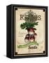 Vintage Radish Seed Packet-null-Framed Stretched Canvas