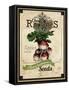 Vintage Radish Seed Packet-null-Framed Stretched Canvas