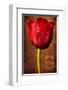 Vintage Red Tulip II-Christine Zalewski-Framed Art Print