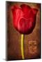 Vintage Red Tulip II-Christine Zalewski-Mounted Art Print