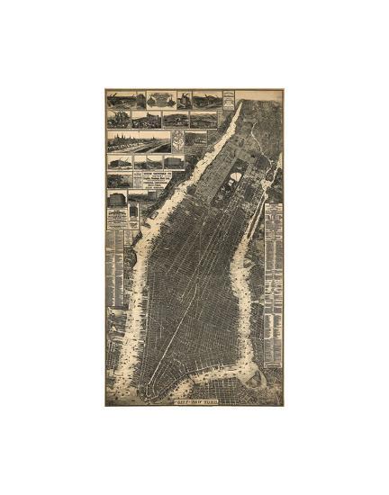 Art Print, , large