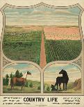 Country Life, c. 1904-Vintage Reproduction-Art Print
