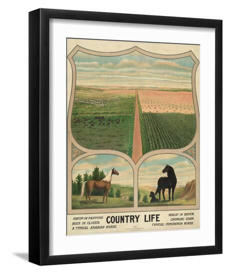 Art Print, , large
