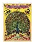 Peacock Styles Anchor Buggy Co. ca. 1897-Vintage Reproduction-Art Print