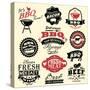 Vintage Retro BBQ Badges and Labels-Catherinecml-Stretched Canvas