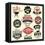 Vintage Retro BBQ Badges and Labels-Catherinecml-Framed Stretched Canvas