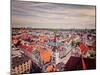 Vintage Retro Effect Filtered Hipster Style Travel Image of Aerial View of Munich - Marienplatz And-f9photos-Mounted Photographic Print