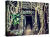 Vintage Retro Effect Filtered Hipster Style Travel Image of Ancient Stone Door and Tree Roots, Ta P-f9photos-Stretched Canvas