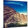 Vintage Retro Effect Filtered Hipster Style Travel Image of Hemis Gompa (Tibetan Buddhist Monastery-f9photos-Mounted Photographic Print