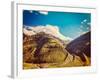 Vintage Retro Effect Filtered Hipster Style Travel Image of Himalayan Valley in Himalayas. Lahaul V-f9photos-Framed Photographic Print