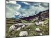 Vintage Retro Effect Filtered Hipster Style Travel Image of Mountain Landscape in Himalayas. Kullu-f9photos-Mounted Photographic Print