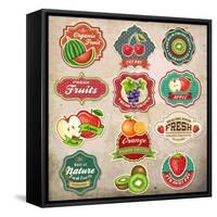 Vintage Retro Grunge Fresh Fruit Labels, Badges and Icons-Catherinecml-Framed Stretched Canvas