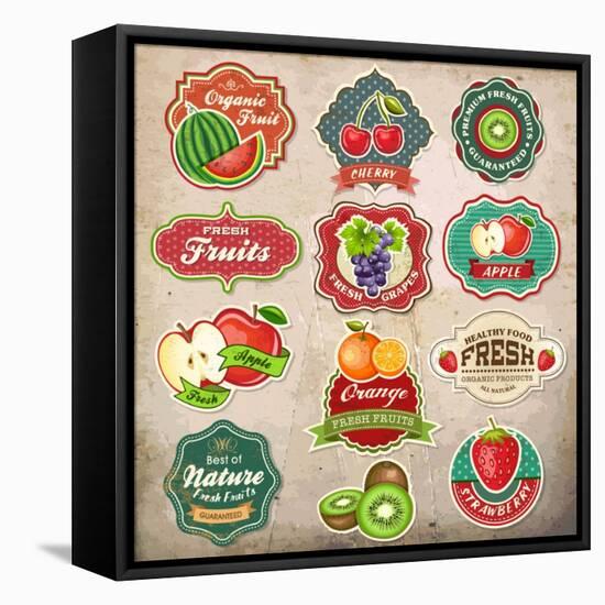 Vintage Retro Grunge Fresh Fruit Labels, Badges and Icons-Catherinecml-Framed Stretched Canvas