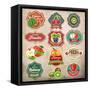 Vintage Retro Grunge Fresh Fruit Labels, Badges and Icons-Catherinecml-Framed Stretched Canvas