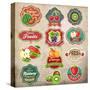 Vintage Retro Grunge Fresh Fruit Labels, Badges and Icons-Catherinecml-Stretched Canvas